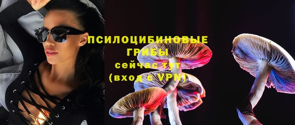 сатива Абаза