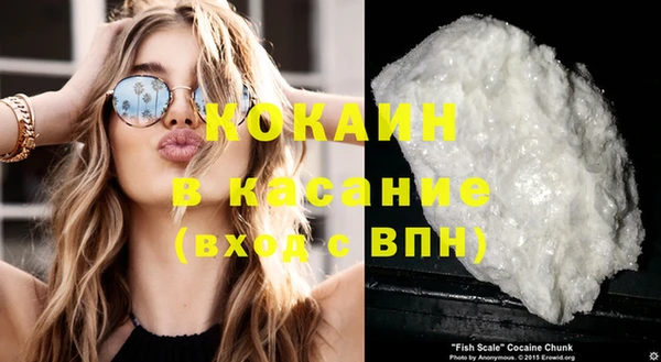 сатива Абаза