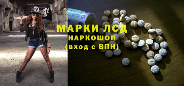 сатива Абаза