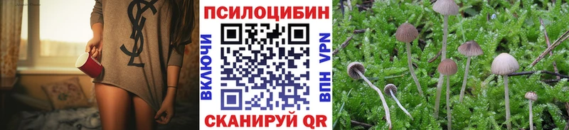 мега ТОР Магнитогорск Псилоцибиновые грибы Psilocybe