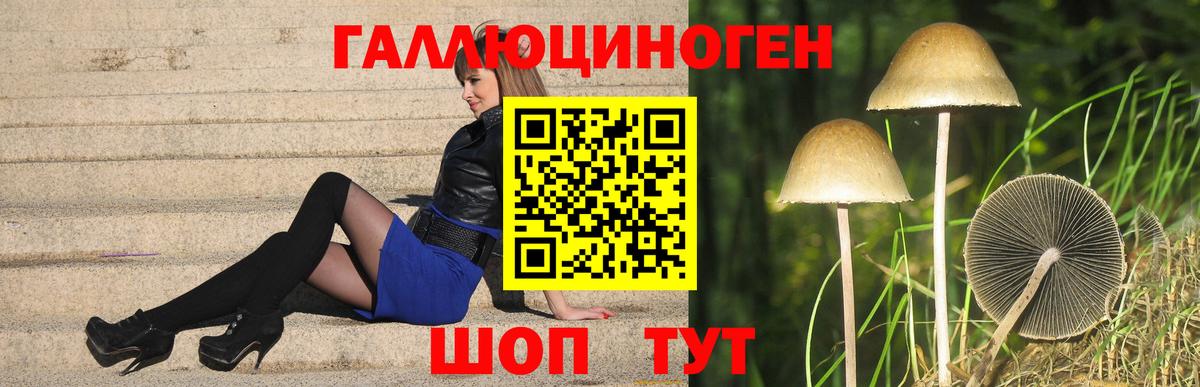 Галлюциногенные грибы MAGIC MUSHROOMS  Вход с VPN  Магнитогорск 
